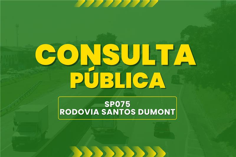 Consulta Pública