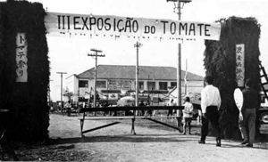 festatomate1964.jpg